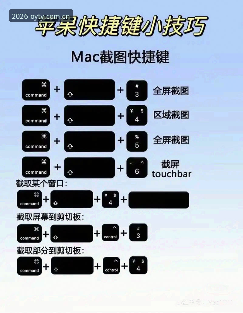 OYTY官方平台 OYTY官方平台2026新版下载安装使用教程:从入门到精通的操作指南